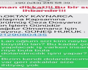 oktay kaynarca